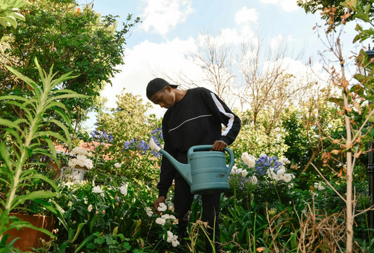 Image représentant une approche durable et respectueuse de l'environnement à travers le soin des plantes.